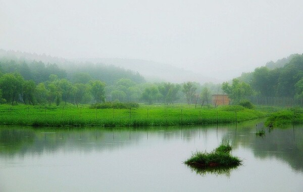 春雨