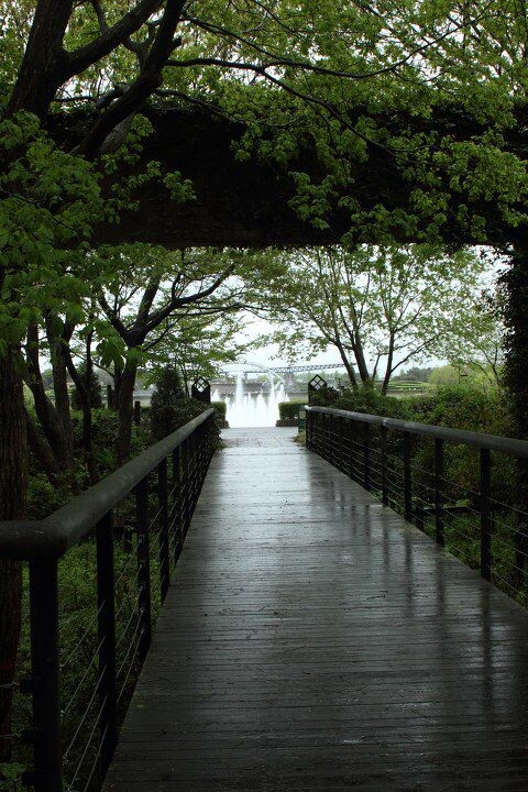 1 雨路 退一步,海阔天空