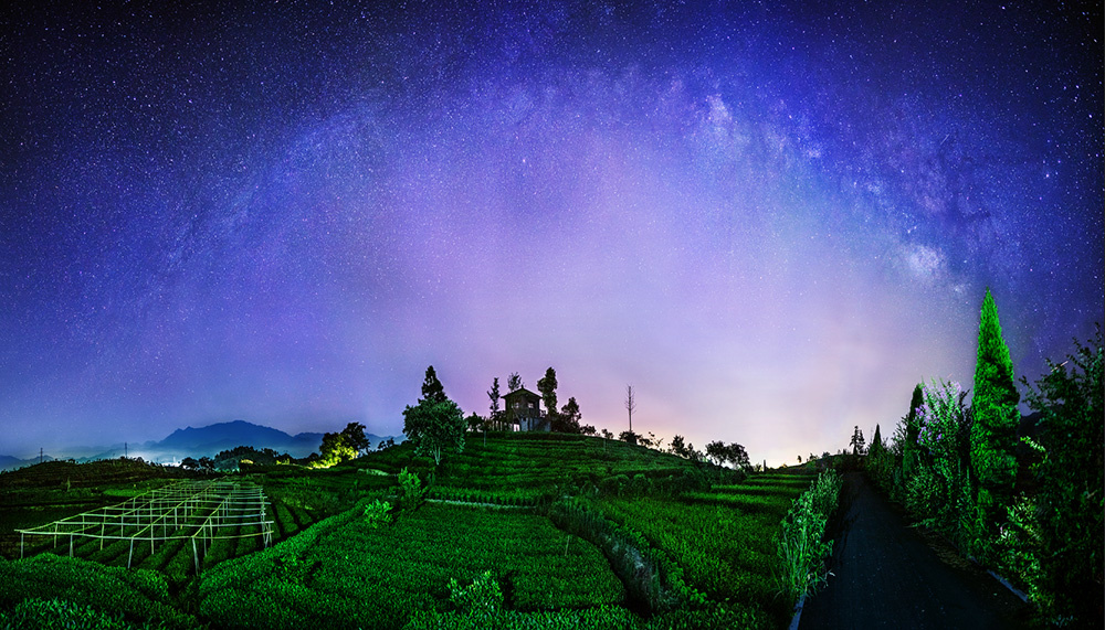 2015年7月摄于松阳,茶园星空.