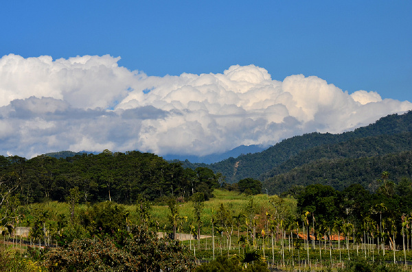 台湾的山8