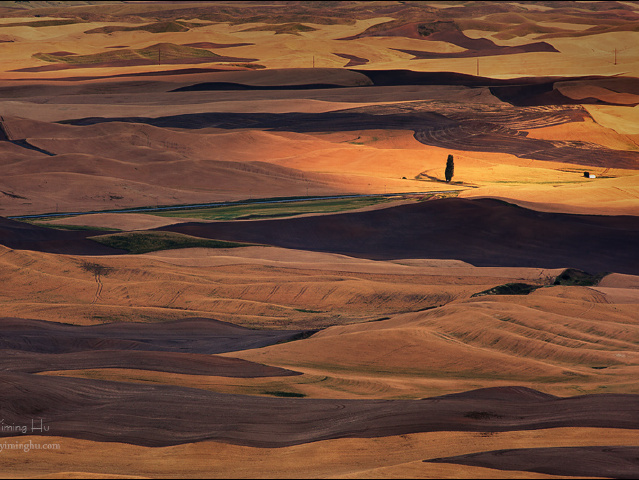 胡亦鸣 - 图虫摄影网