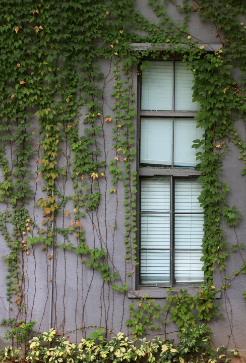 cakes标为摄影的图博 - cakes - 图虫摄影网