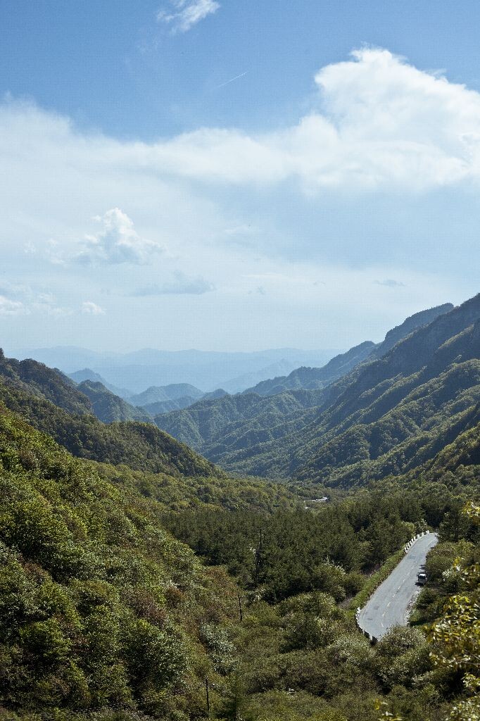 秦岭 秦岭 林夕小土 图虫摄影网