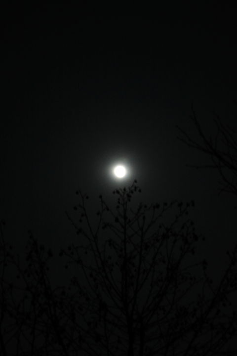 黑夜给我黑色的眼睛让我寻找光明