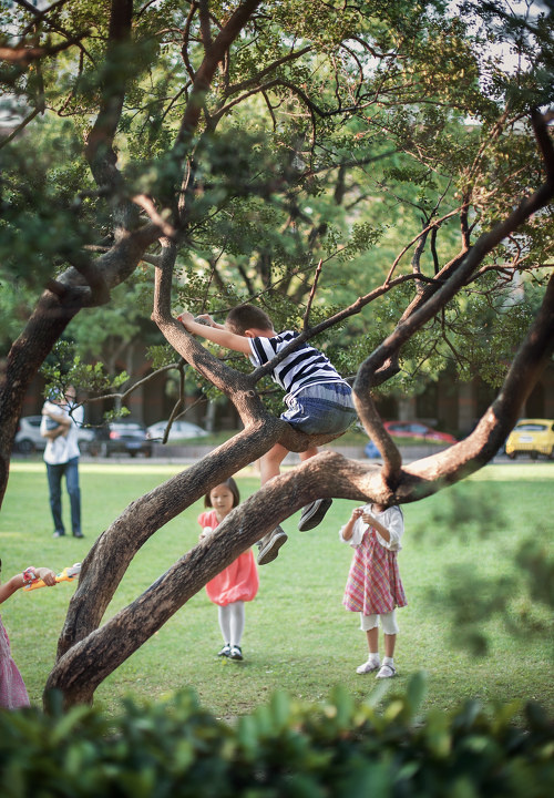 爬树的小孩 - 姜嘉谋~ - 图虫摄影网