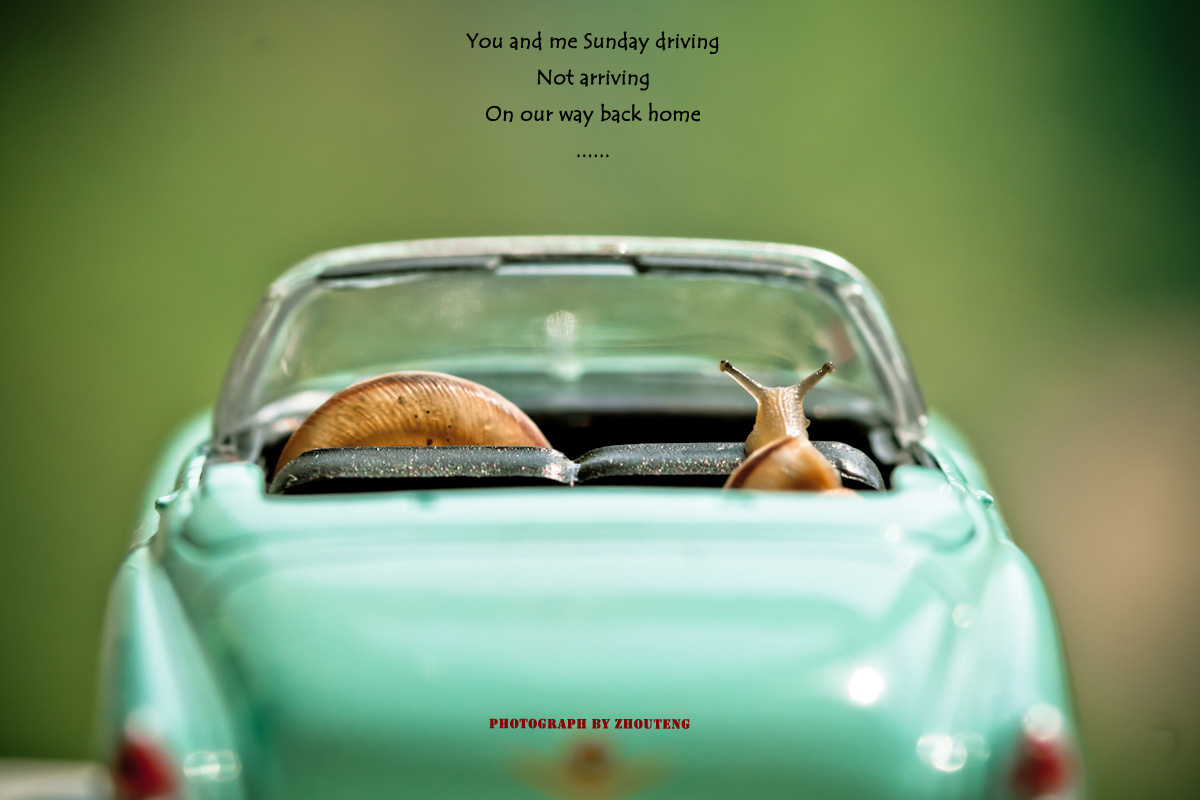 和你一起兜兜风