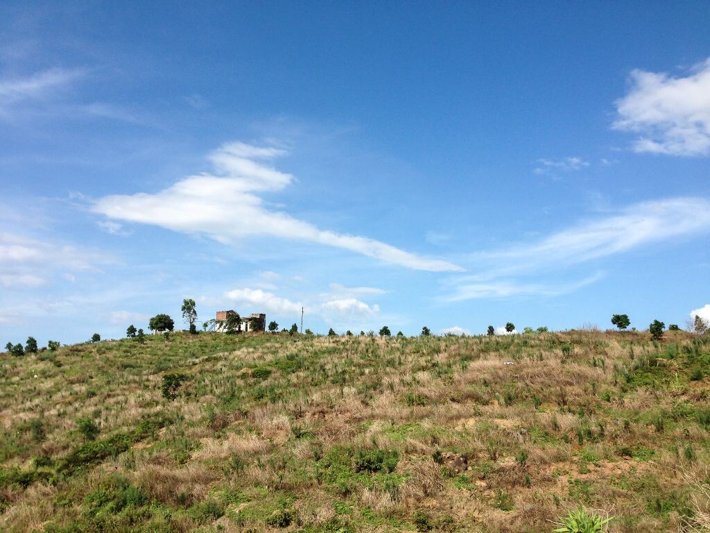 路邊的小山坡