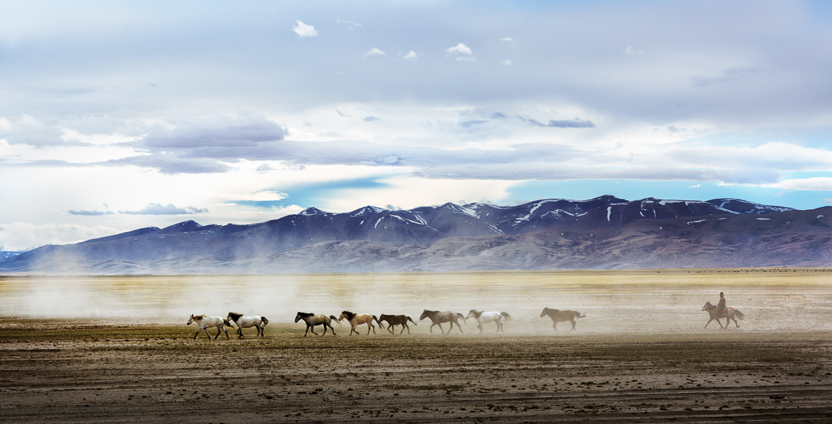 在雪山下 策马狂奔的感觉是怎么样?