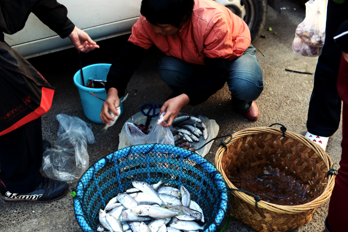 厦门路边的鱼贩