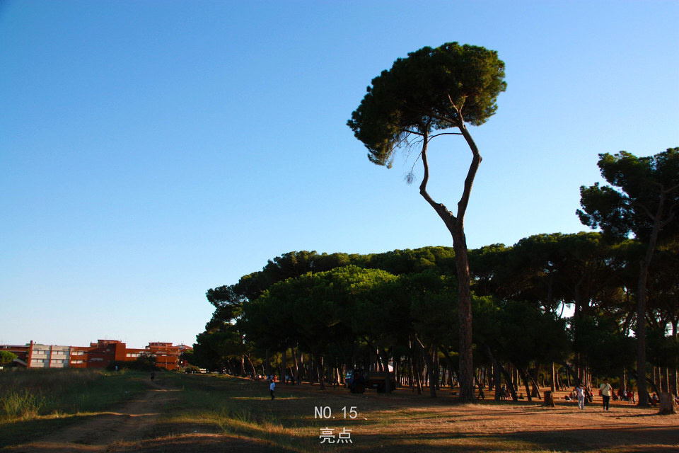 亮点突出,特别,这就是亮点