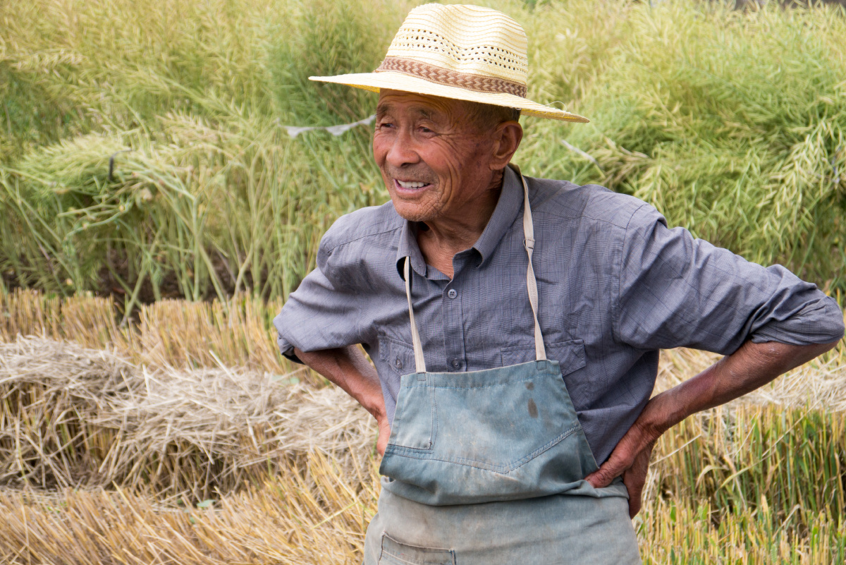 早些时候路过农田,和老农伯伯聊起种植的情况和来年的