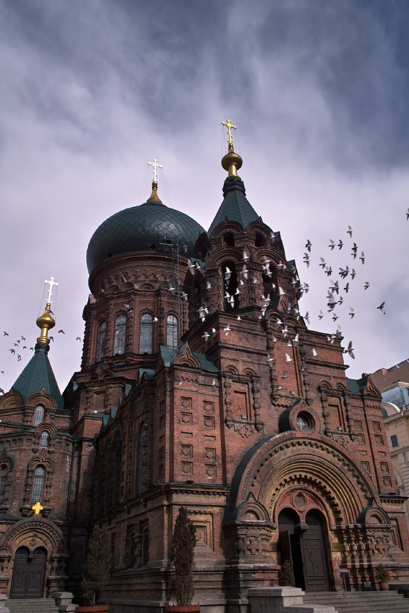归去来这一群鸽子是教堂与广场特有的风景一阵一阵的飞