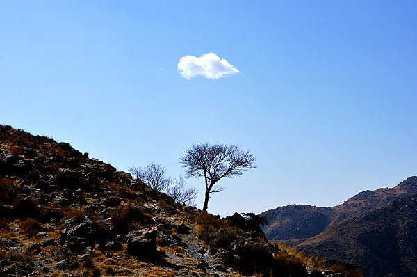 众鸟高飞尽,孤云独去闲.
