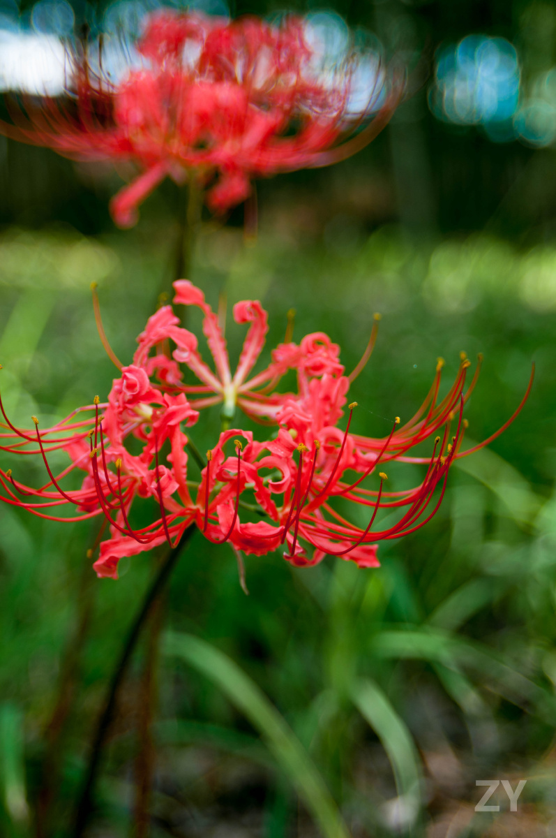 黄志禹 - 图虫摄影网