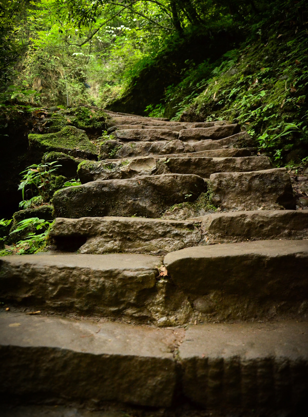 夏 青城后山 - 成都, 青城山, 自然, 绿, 山 - 厉江流 - 图虫摄影网