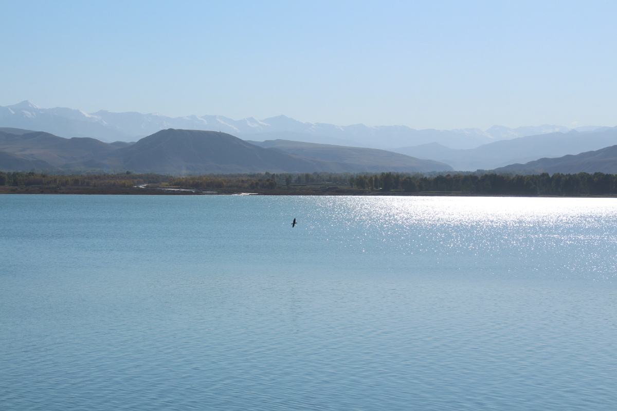 棠溪雨来骤 - 图虫摄影网