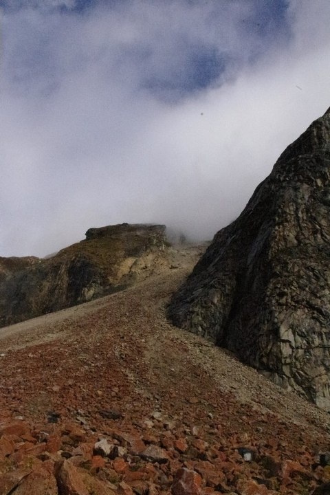 行走吧,无论是荆棘丛生还是崎岖蜿蜒,那都是通往幸福的道路