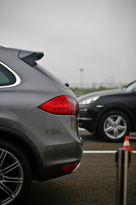 img_2794 - checknow - 图虫