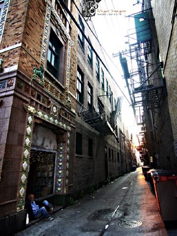 芝加哥唐人街8张