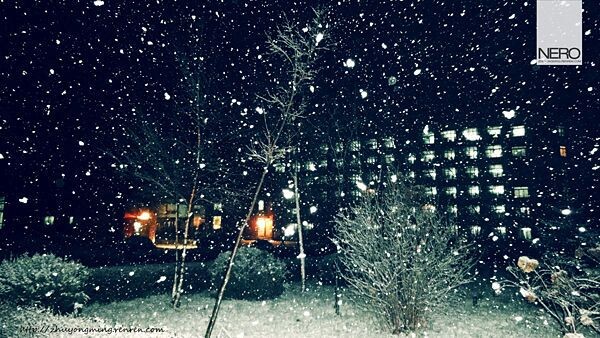 雨夹雪