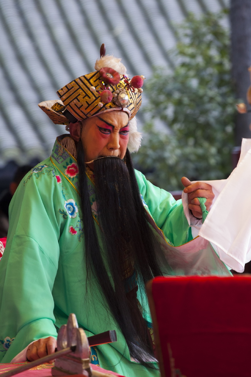 癸巳正月初四唱大戏 - 生末净旦丑 - 癸巳正月初四唱大戏 - 生末净旦