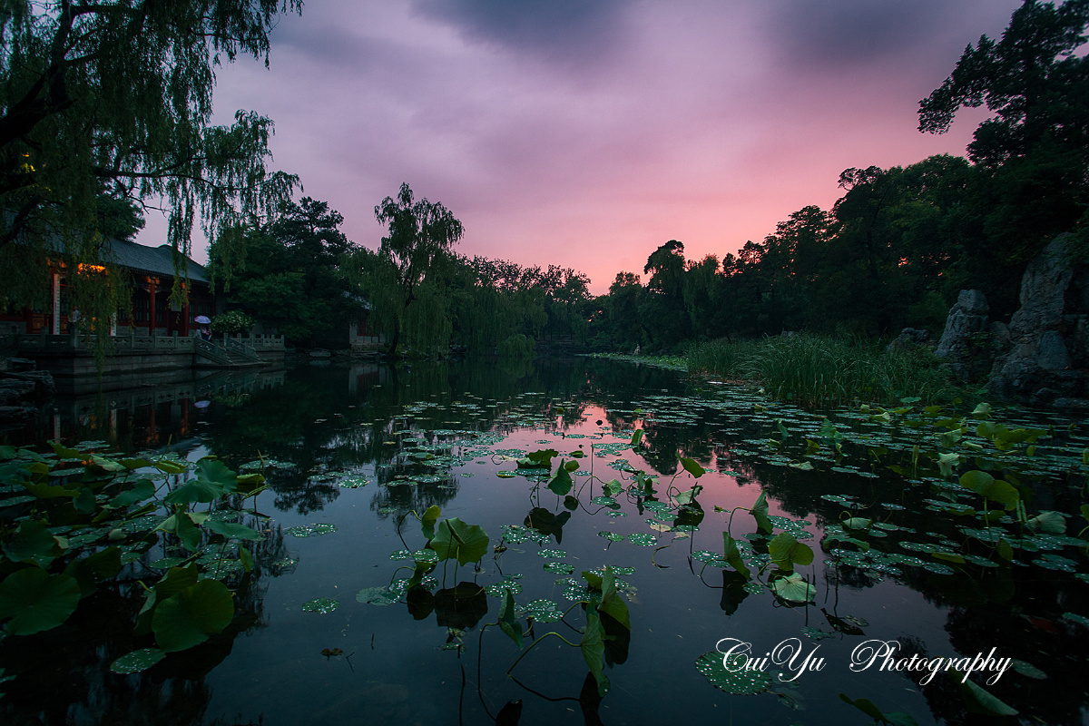 水木荷塘近黄昏 - 清华 - 无闷 - 图虫摄影网