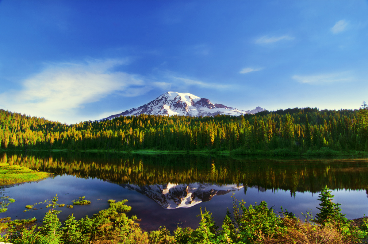 镜湖里的瑞尼尔山