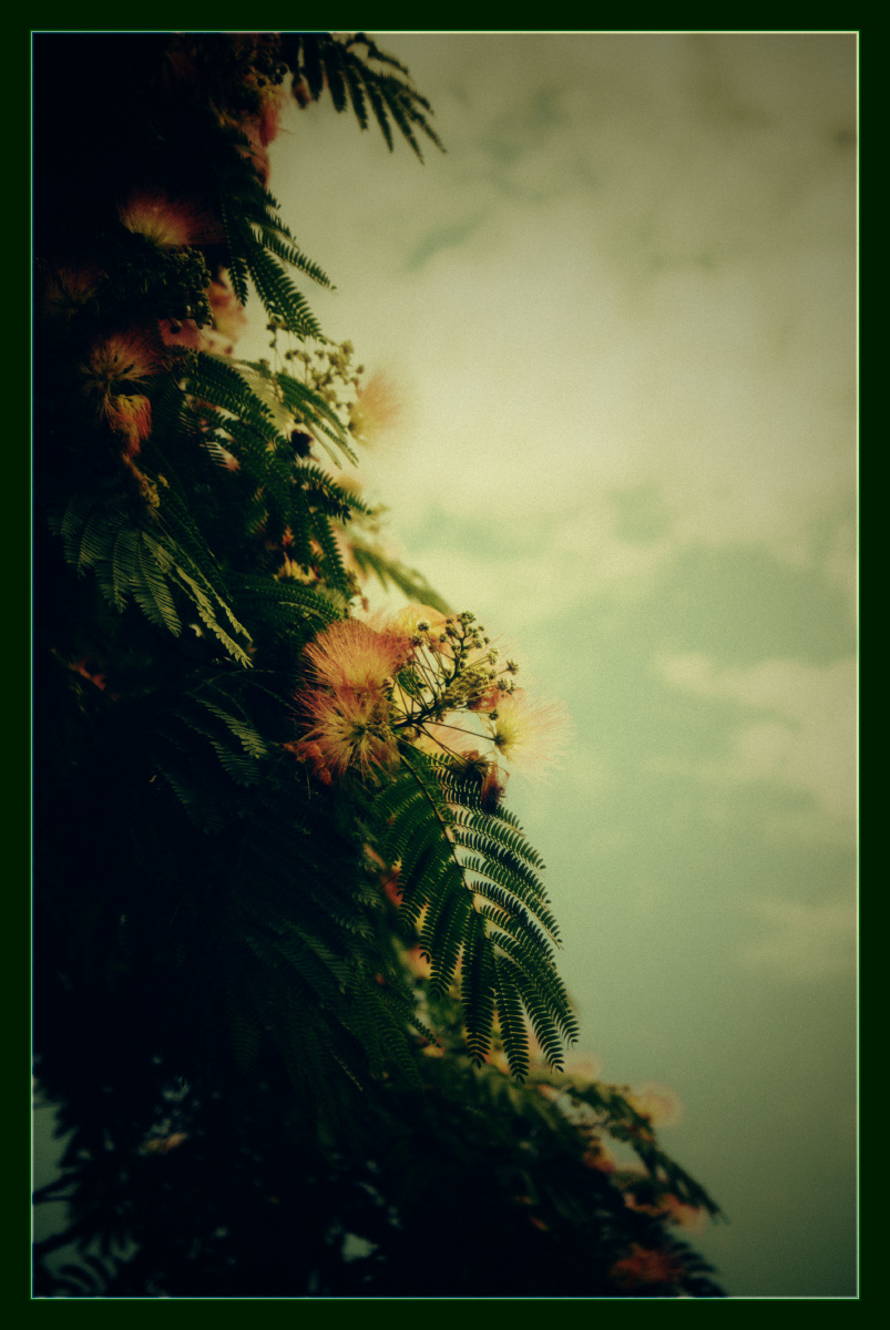 dsc00499-编辑.jpg - 赵小五 - 图虫摄影网