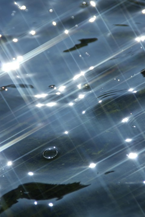 星光星光镜 br /> 星光海