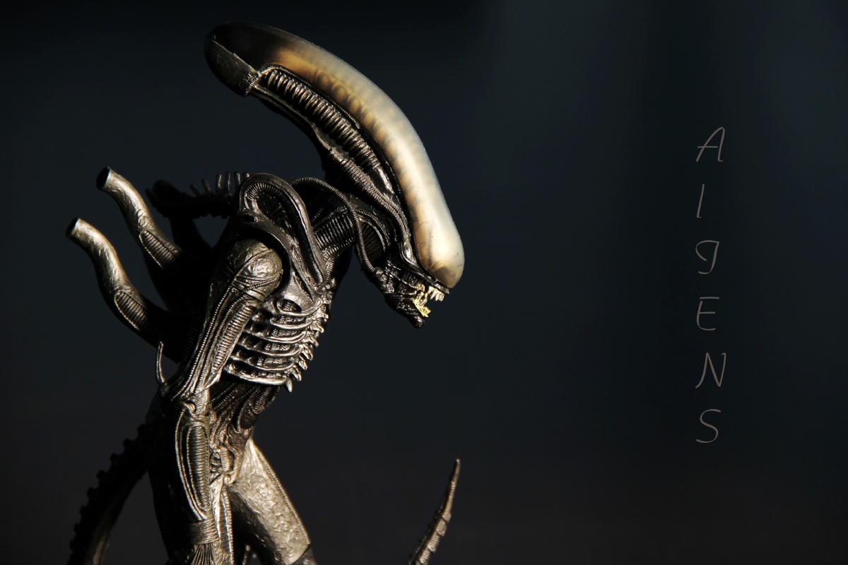 异形- 玩偶 - 异形 - 墨色龙井 - 玩偶之家 - 图虫摄影网