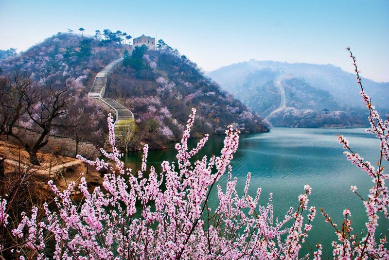 黄花城水长城桃花图片