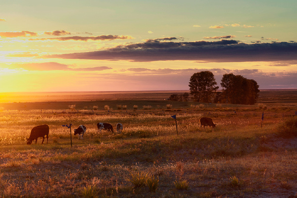 深秋 草原的黄昏
