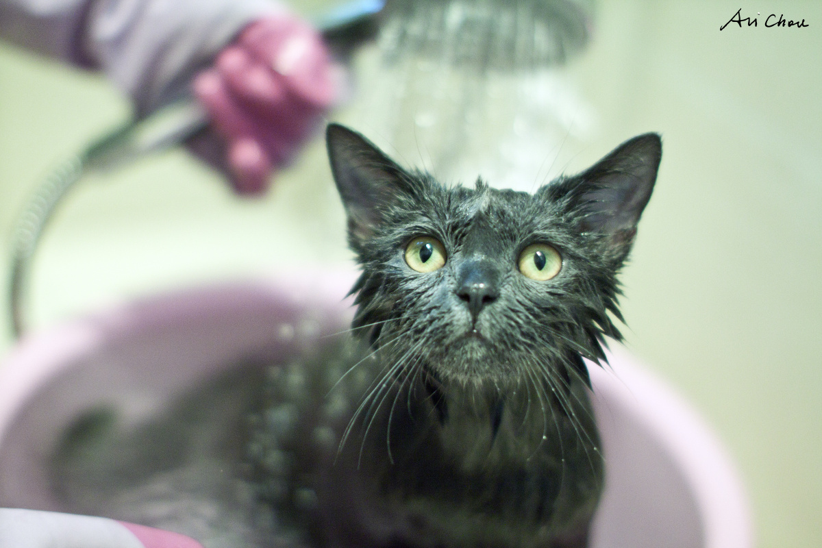 "img_4112"为智能对象-1