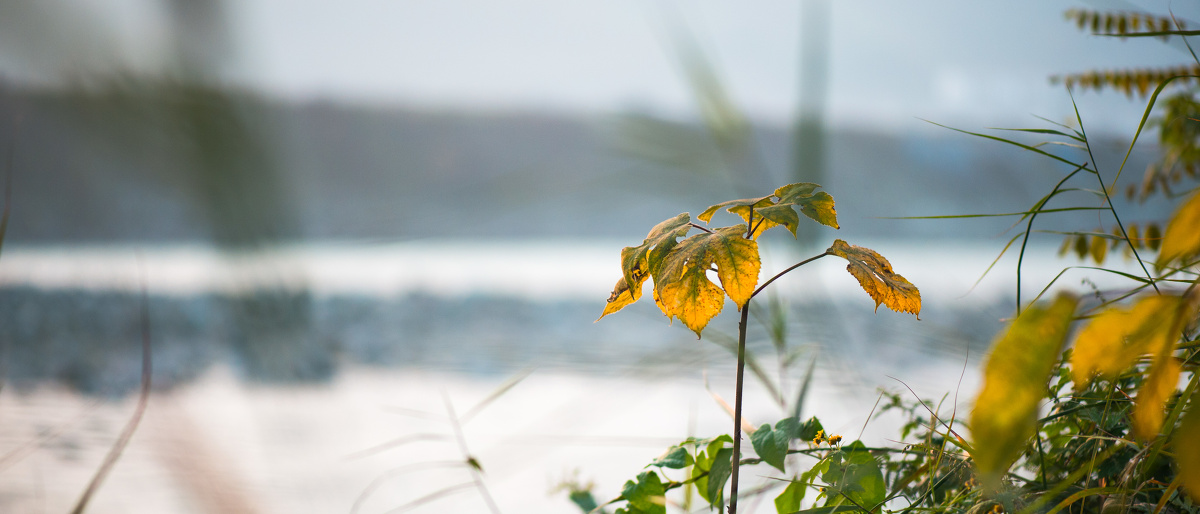 云间草舍 - 图虫摄影网