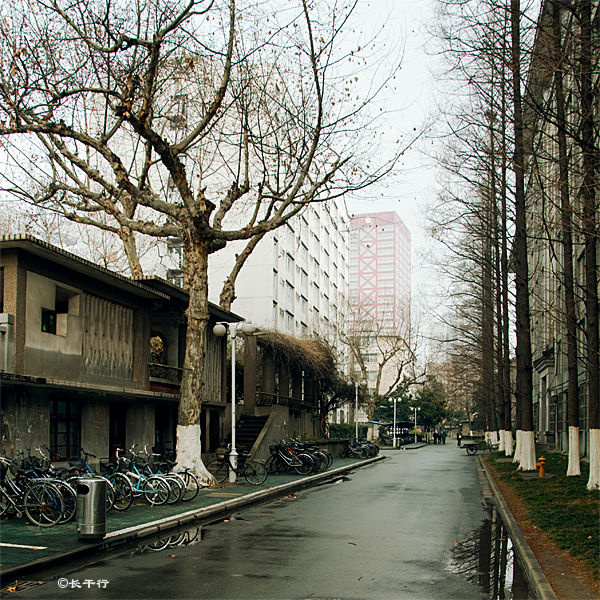 雪中路过 南大南园