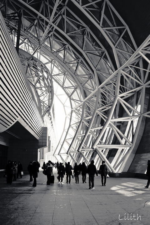 maladaptive - maladaptive - luxer - 图虫摄影网