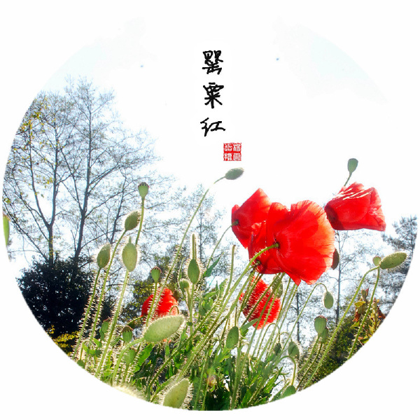 做最专业的摄影社区