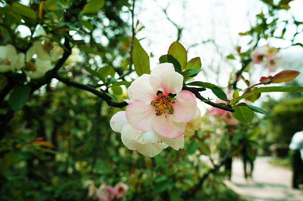 我看到的一些 - reinhard - 图虫网 - 优质摄影师交流社区