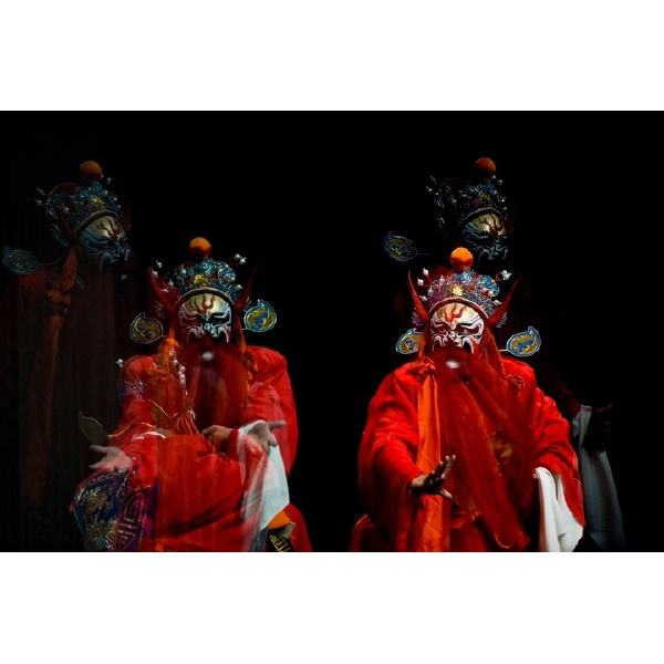 狸猫换太子