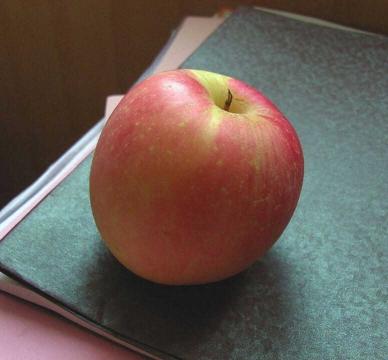 第一个苹果