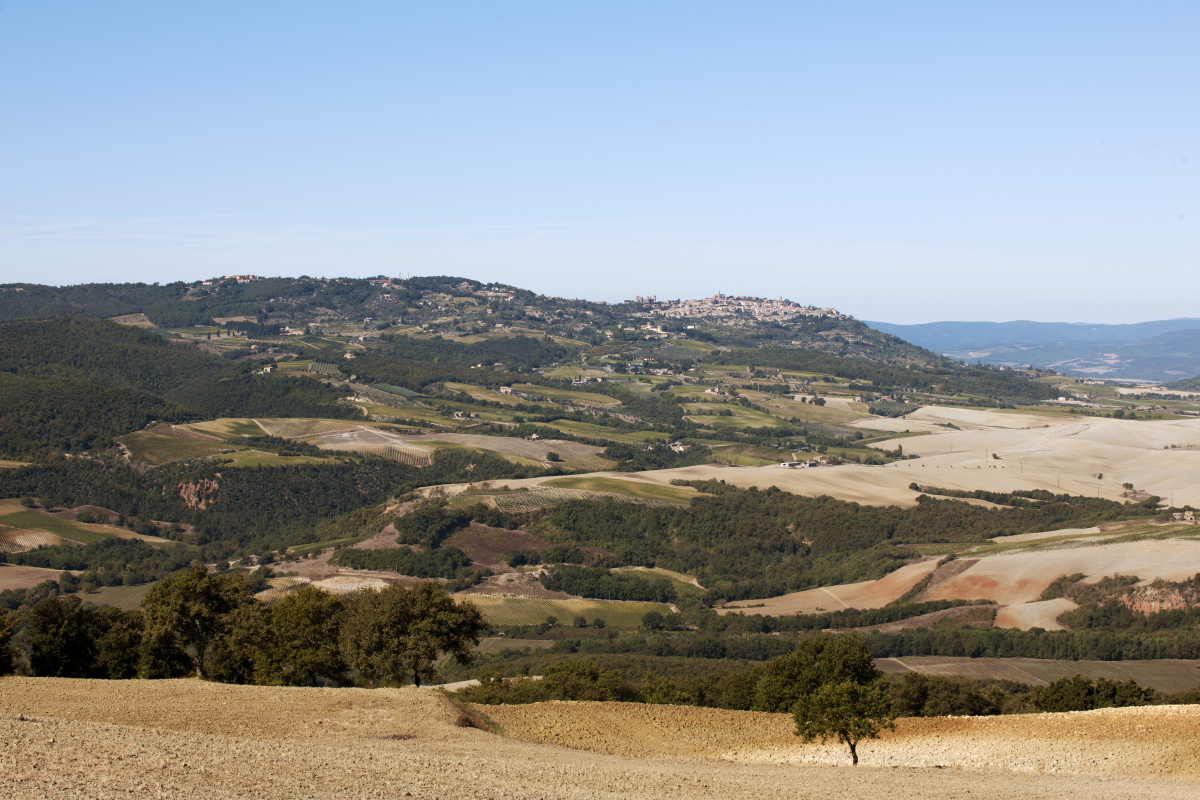 深南大道通宝安