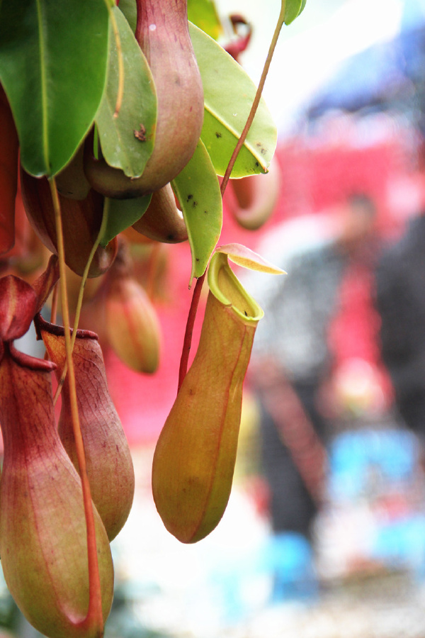 徒小步 - 图虫摄影网