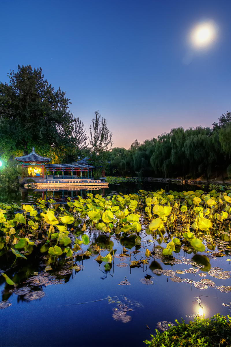 司空逸浪 - 清华大学摄影队 - 图虫摄影网