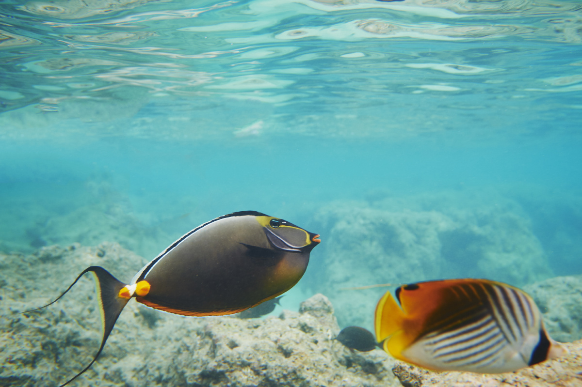 上一张 下一张 父亲每天都骑着三轮锻炼锻炼老腿.