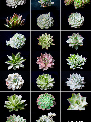 标签- 出售 - 图虫网 - 最好的摄影师都在这