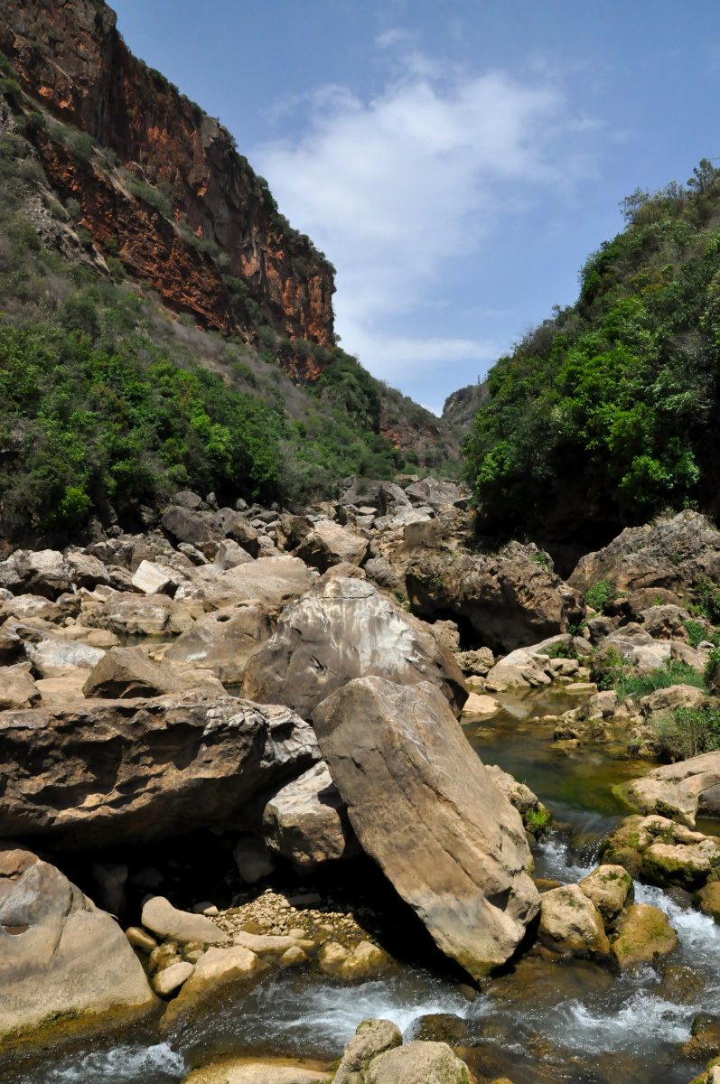 能见到河床了家乡干旱4年了