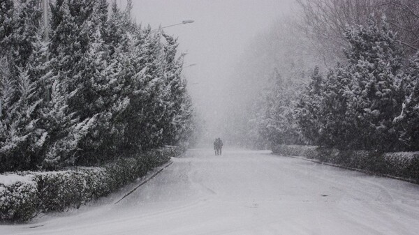 雪中戰鬥的情侶