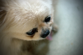 那一低头的温柔