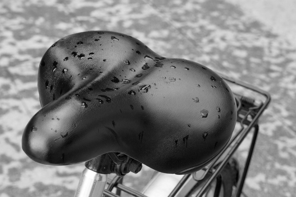 damp - demojam - 图虫