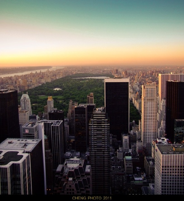 纽约2011